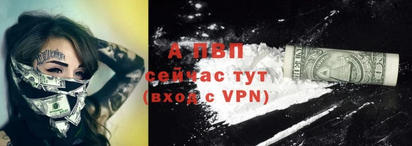 винт Горно-Алтайск