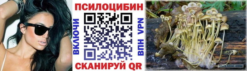 Галлюциногенные грибы Magic Shrooms гидра сайт маркетплейс клад купить закладку Кисловодск