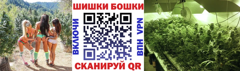 Шишки марихуана OG Kush  Кисловодск 